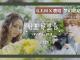 梦幻联动！『邓紫棋 x 鹿晗』520 惊喜释出「写给男友的歌」MV，Youtube 播放量不到一小时就有 133K！